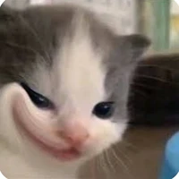 đúp ròi