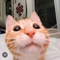 báo