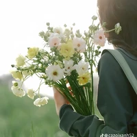 linne (Linh)