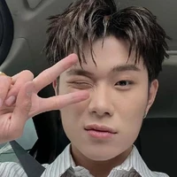 Trần Đăng Dương - Domic