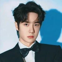 Triệu Thư Vũ (Tổng giám đốc Triệu thị)