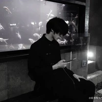 Trần Hàm Song Tử_hne5