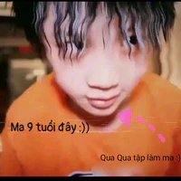 Con mẻ t/g