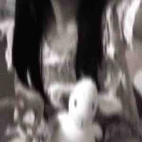Nhỏ t/g nì