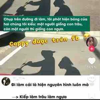 Nvp