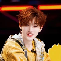 Đinh Trình Hâm
