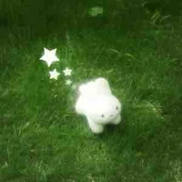 Hệ thống 528 (mane)