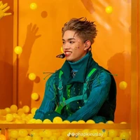 Nguyễn Thanh  Pháp