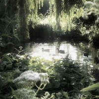 Người ẩn《秘密》