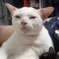 Tác giả siu cọc