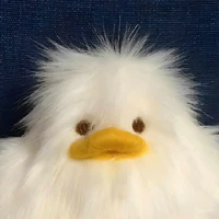 !!!