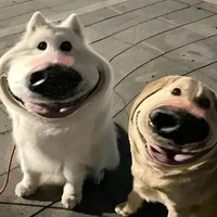 tác giả cuti:)))