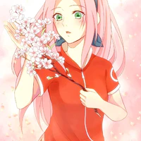 sakura