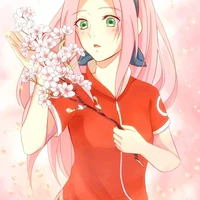 sakura