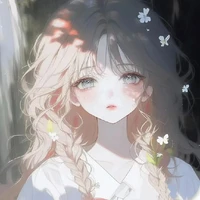 Y/N