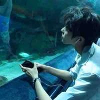 Nguyễn Vũ Gia Phong