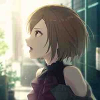 MEIKO-N25