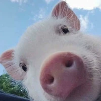 con tác giả làm biếng
