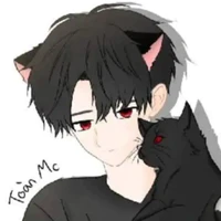 ToanMCVN