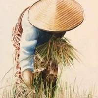 Ba kiều