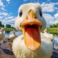 T/g thunguyt