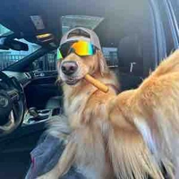 Thuộc hạ Hàm gia