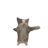 All nhóm em