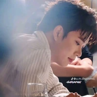 dương domic