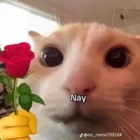 tổng tài bá đạo :33