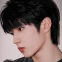 Lưu Diệu Văn (anh)