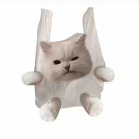 Mẹ của nhã hoà