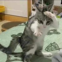 tác giả đẹp gái 