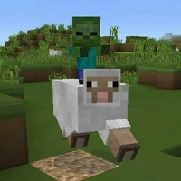 Pink Kow bay tới đayy~