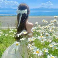 yuki kanito