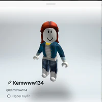 kemwww134