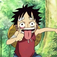 Monkey D Lerfy
