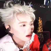 Tao🤓