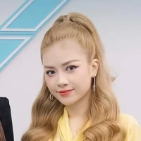 Dương Hoàng Yến (Mèo)