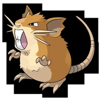 Ratta