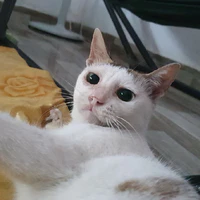 Xíu