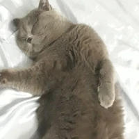t/g