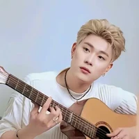 dương domic