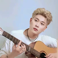 dương domic