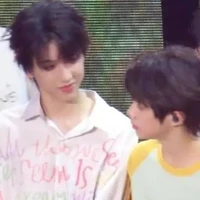 mèo mê tử tử