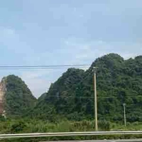 Cả lớp