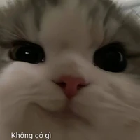 hệ thống [trợ lí t/g]