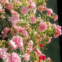 all
