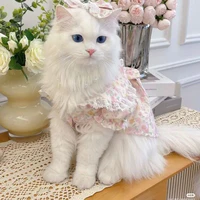 Migi - mèo của hai đứa