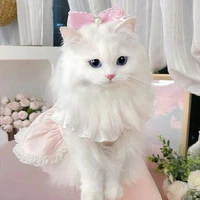 👑𝐒𝐚𝐧𝐧𝐢𝐞•𝐂𝐡𝐚𝐧🎀 (tác giả)