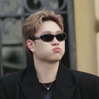 dương domic